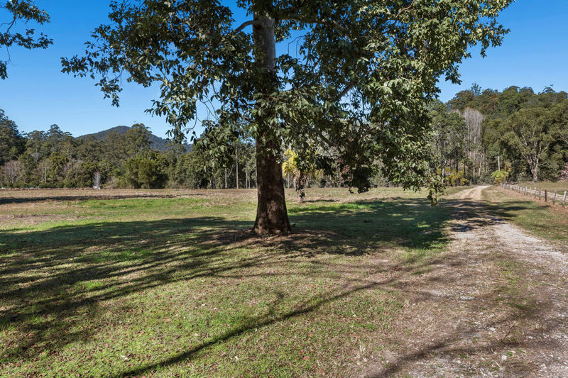 Real Estate in Bellingen