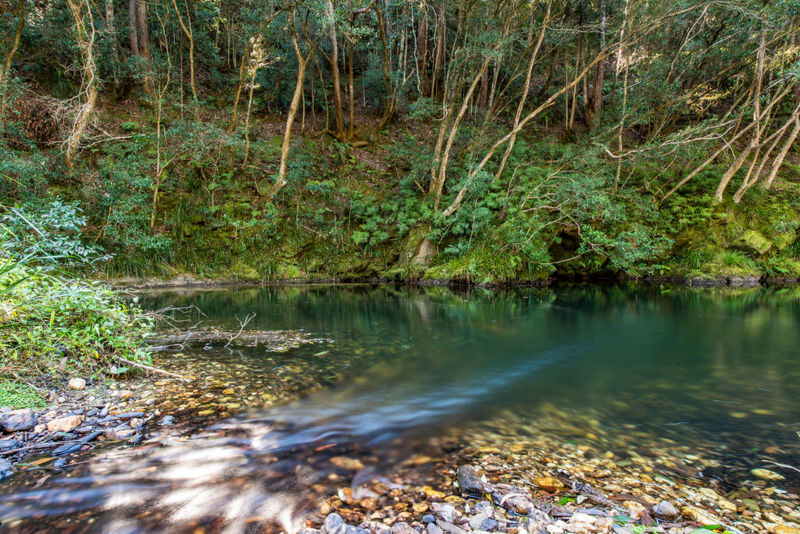 Property Sold in Bellingen