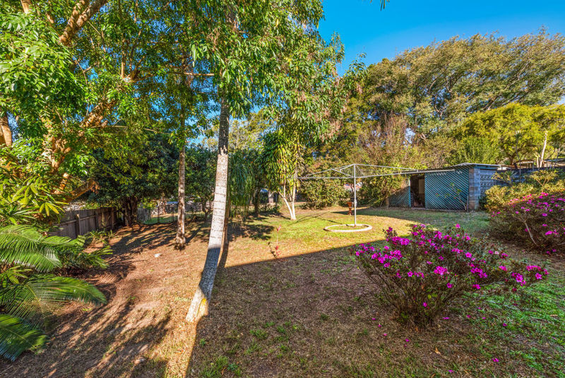 Real Estate in Bellingen