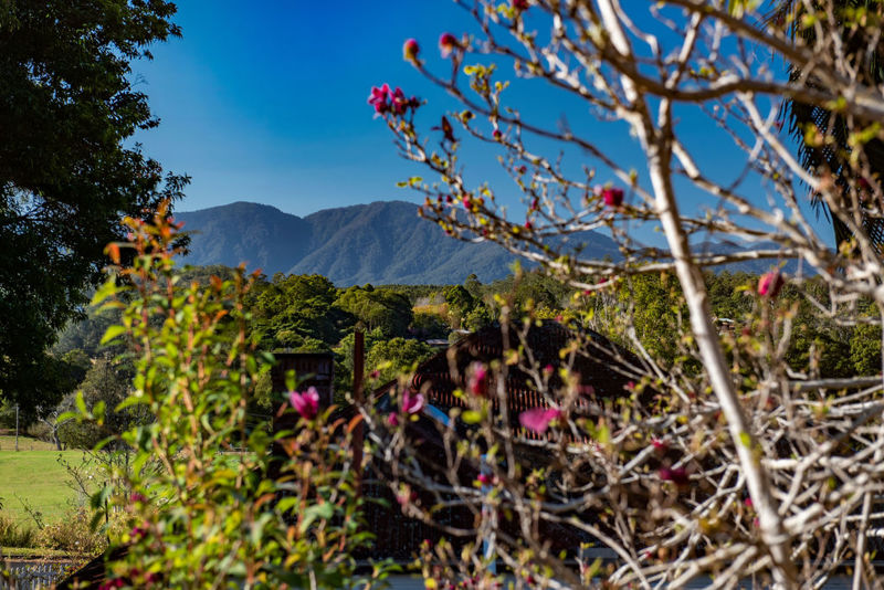 Property Sold in Bellingen