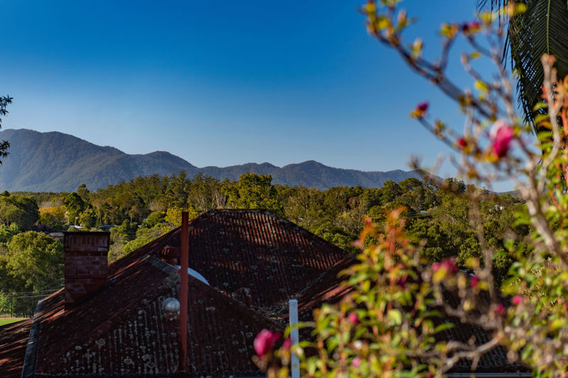 Real Estate in Bellingen