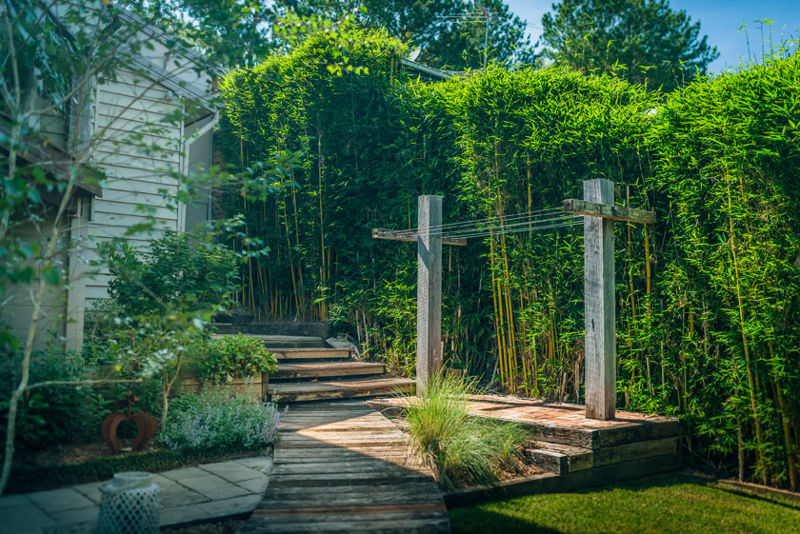 Real Estate in Bellingen