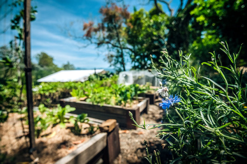 Real Estate in Bellingen