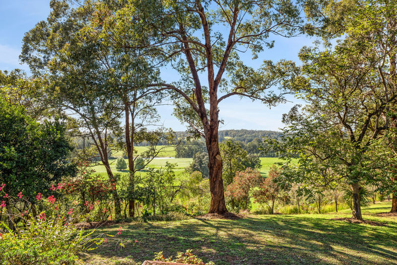 Real Estate in Bellingen