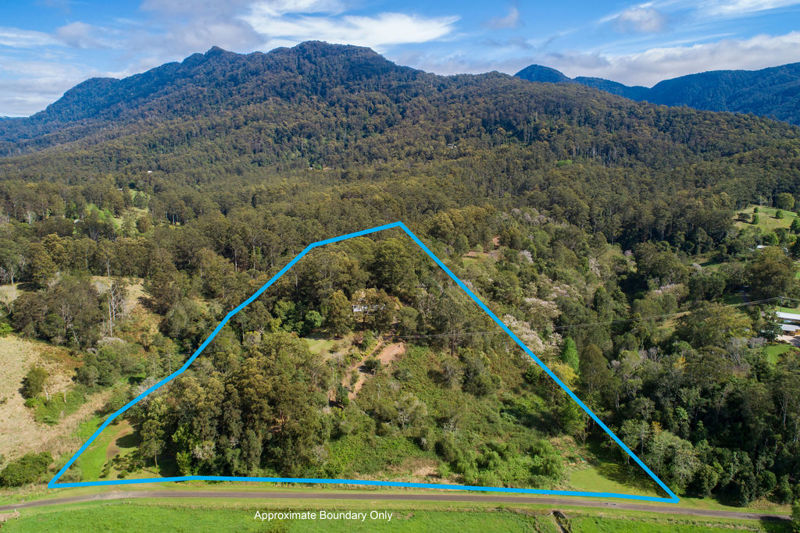 Real Estate in Bellingen