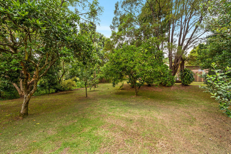 Real Estate in Bellingen