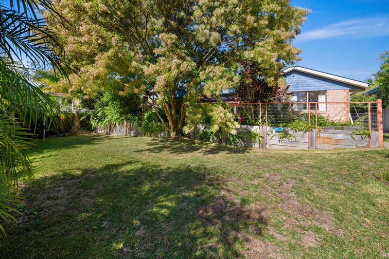 Real Estate in Bellingen