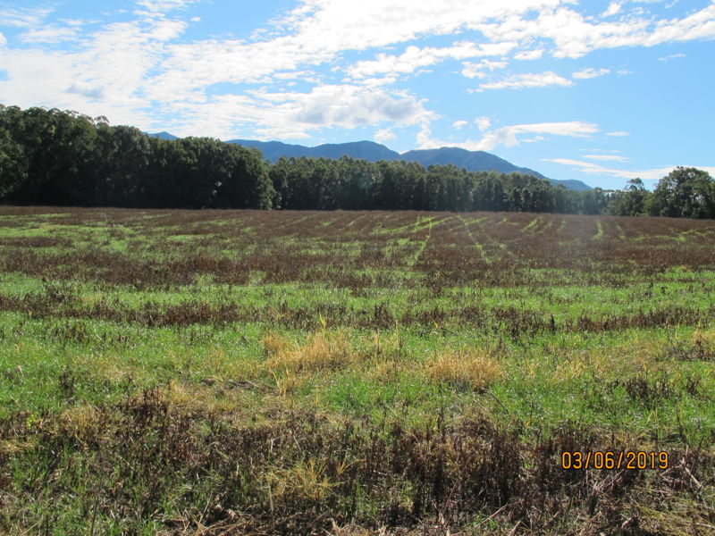 Bellingen real estate Leased
