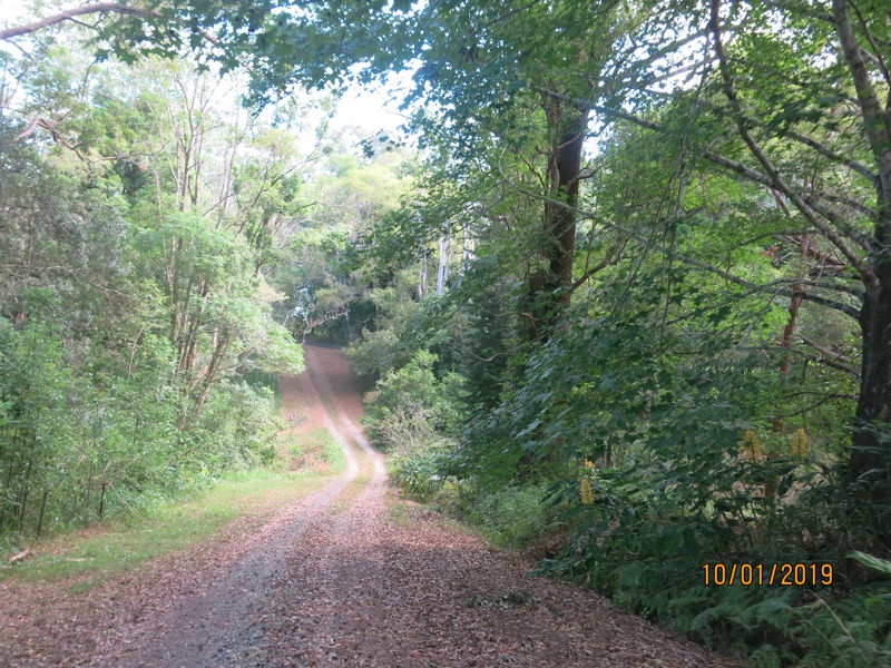 Real Estate in Gleniffer