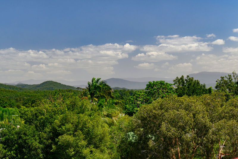 Bellingen real estate Leased