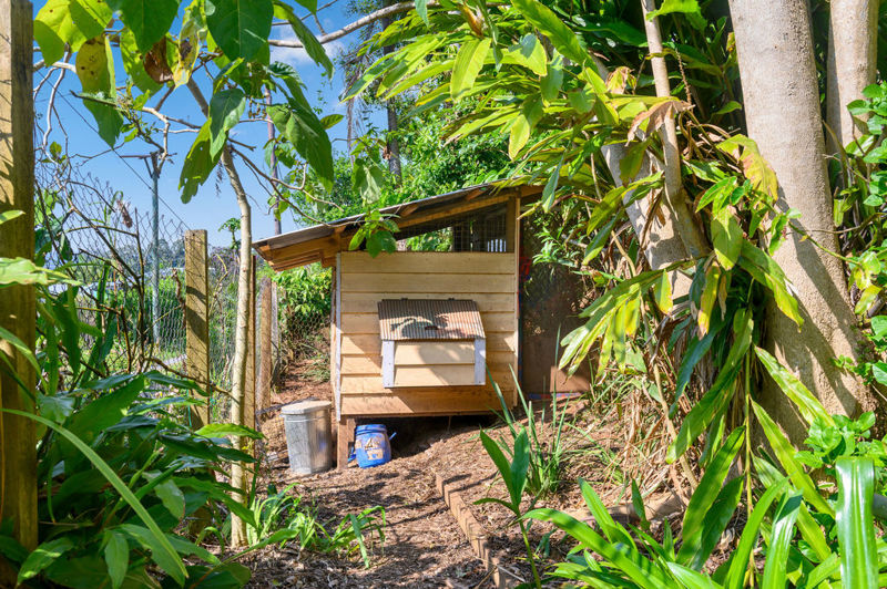 Real Estate in Bellingen