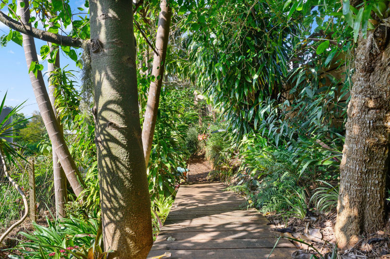 Real Estate in Bellingen