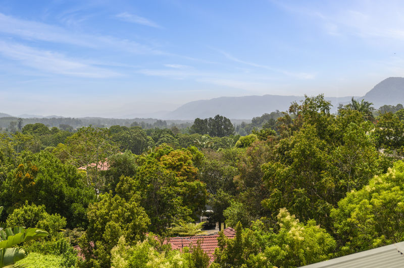 Real Estate in Bellingen