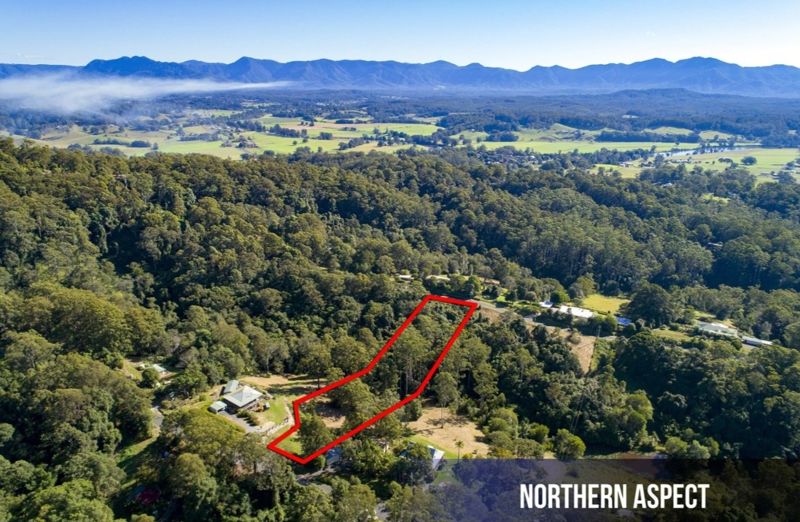 Open for inspection in Bellingen