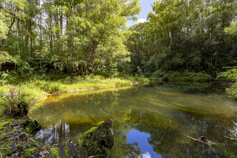 Bellingen real estate Leased