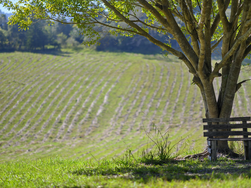 Real Estate in Valla