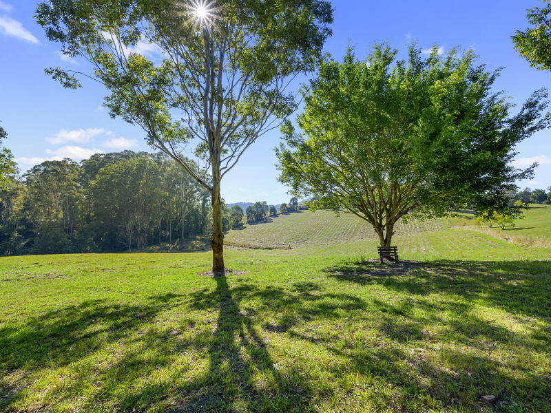 Real Estate in Valla