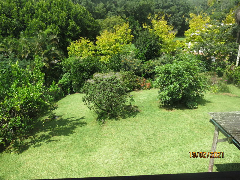 Bellingen real estate Leased