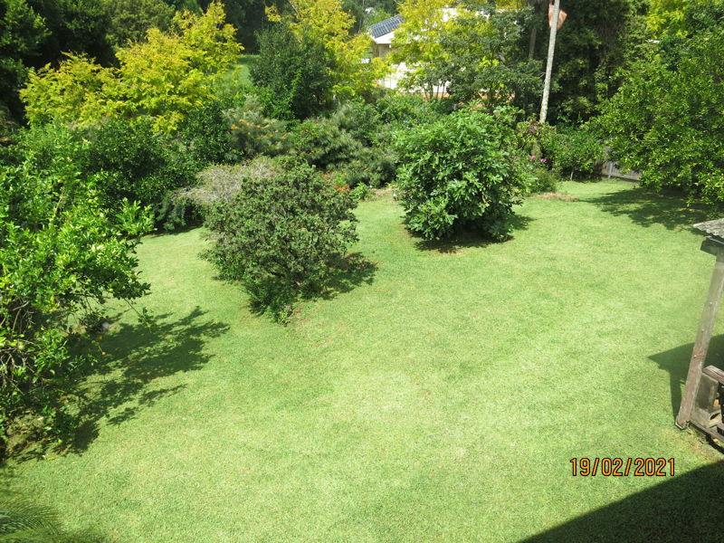 Real Estate in Bellingen