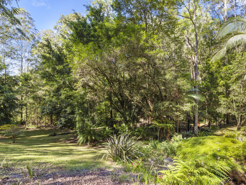 Real Estate in Bellingen