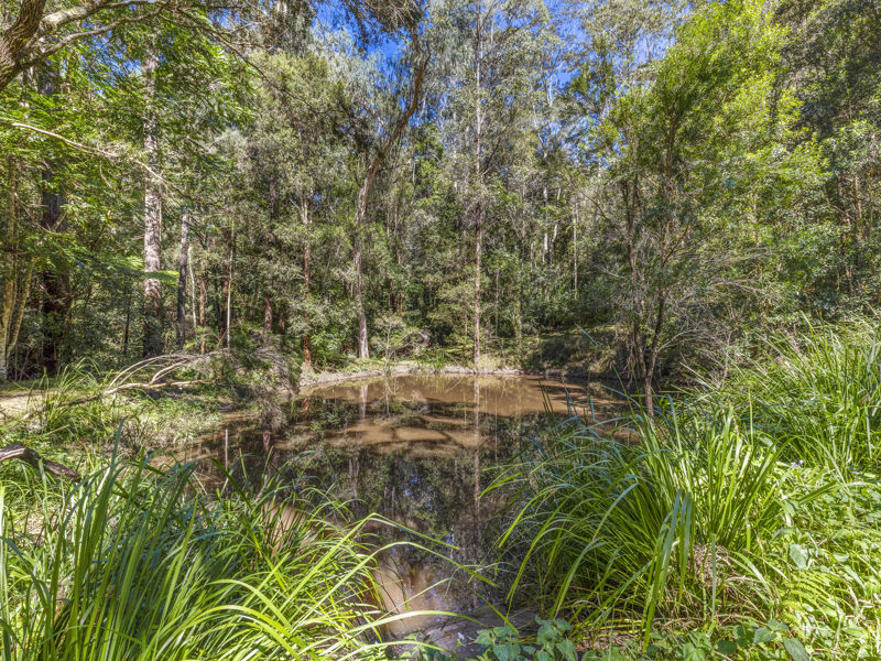 Real Estate in Bellingen