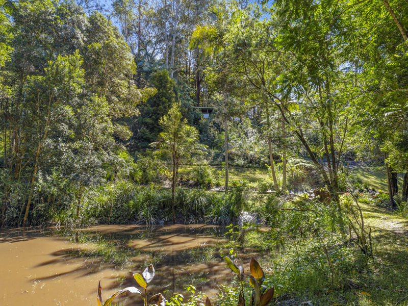 Real Estate in Bellingen