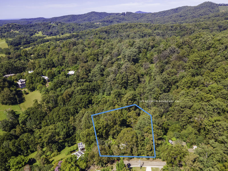 Real Estate in Bellingen