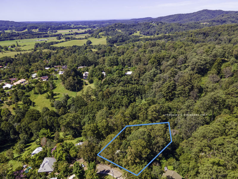 Real Estate in Bellingen
