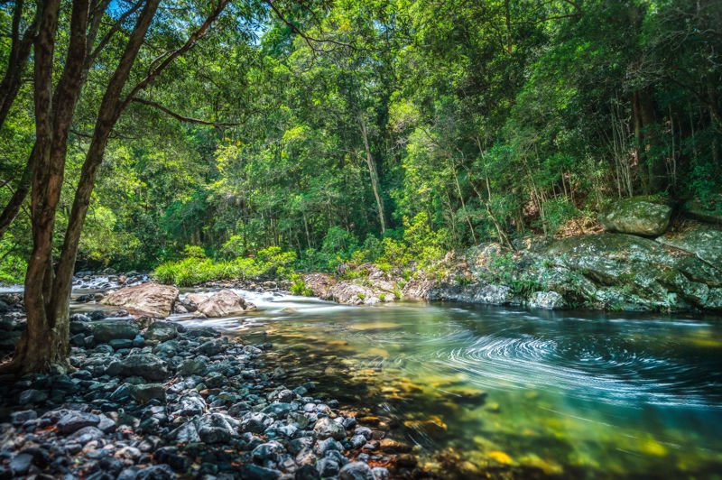 Real Estate in Bellingen