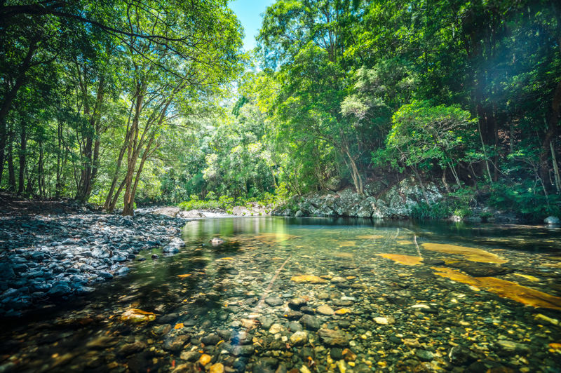 Real Estate in Bellingen