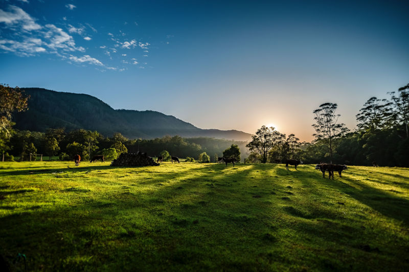 Open for inspection in Bellingen