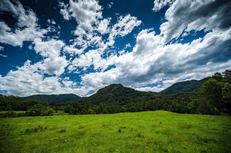 Selling your property in Bellingen