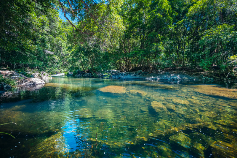 Real Estate in Bellingen