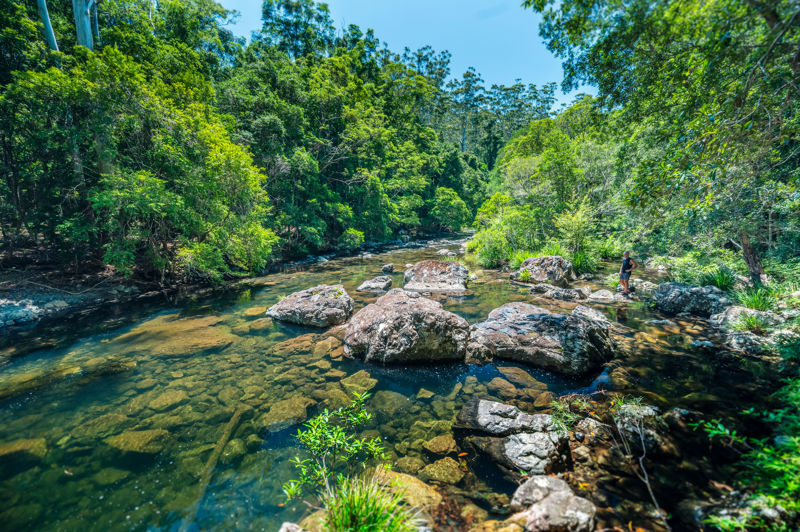 Real Estate in Bellingen