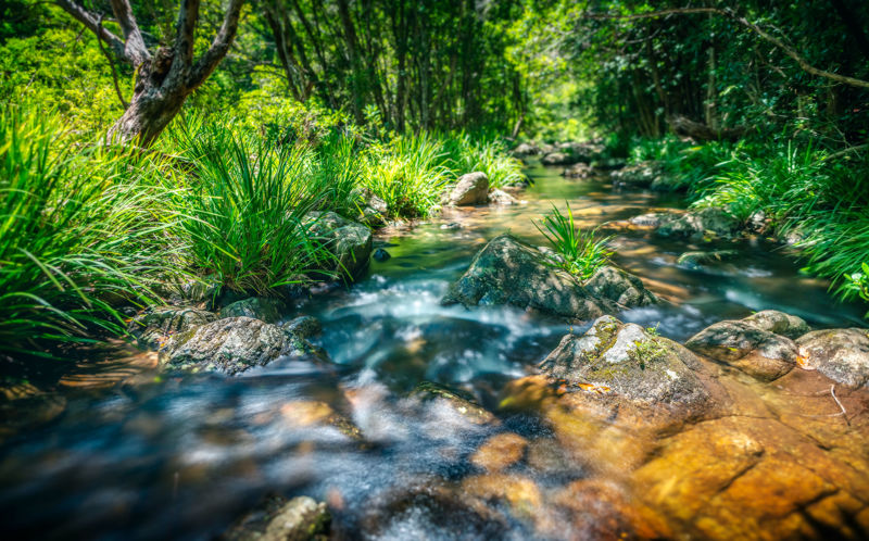 Real Estate in Bellingen