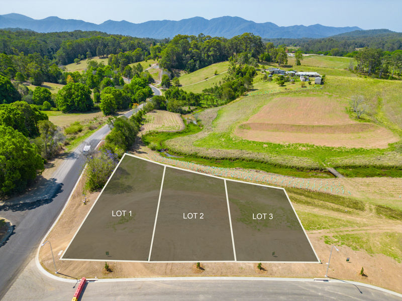 Real Estate in Bellingen