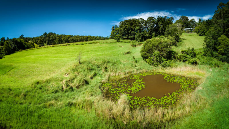 Real Estate in Bellingen