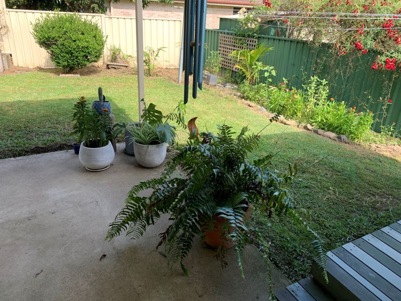 Real Estate in Bellingen