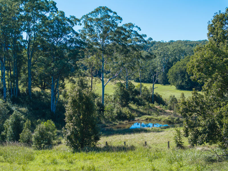Real Estate in Bellingen