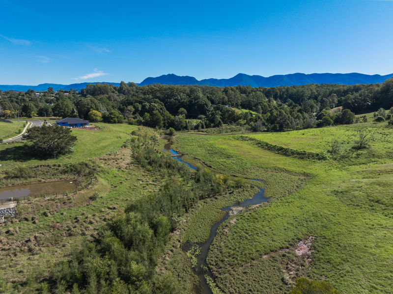 Real Estate in Bellingen
