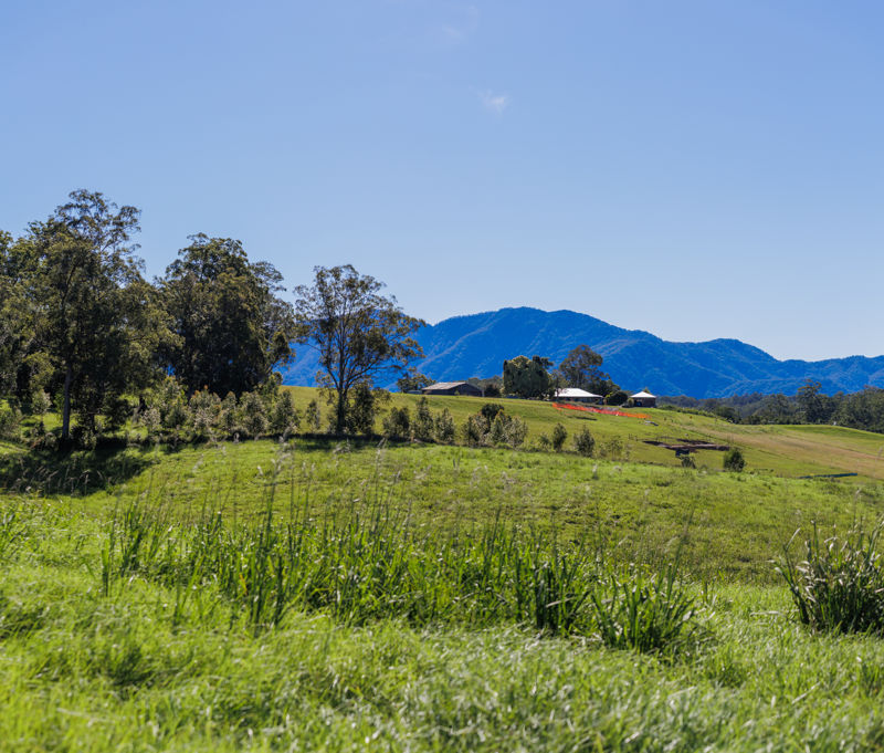 Bellingen Properties For Sale