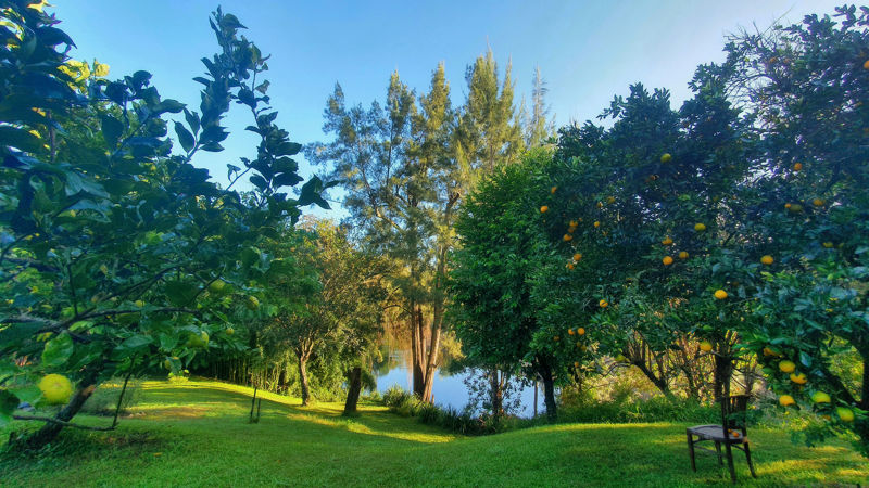 Real Estate in Bellingen