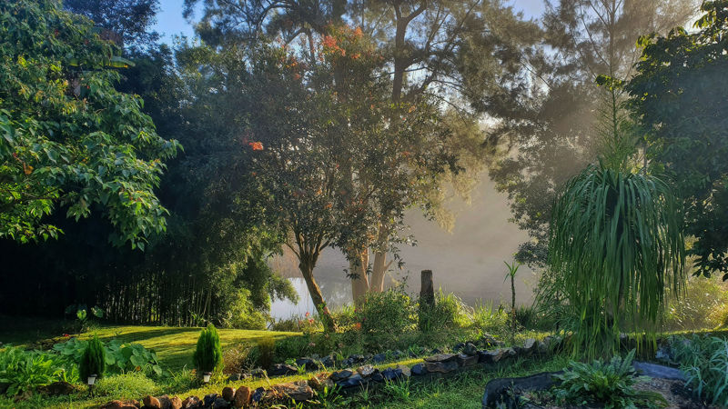 Real Estate in Bellingen