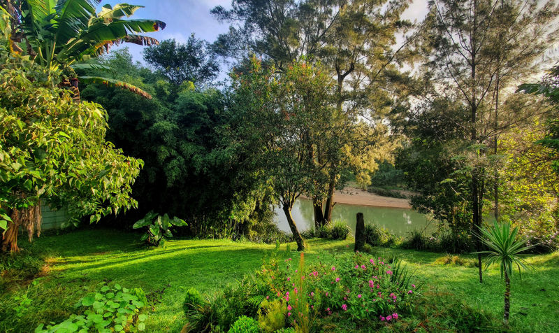 Real Estate in Bellingen