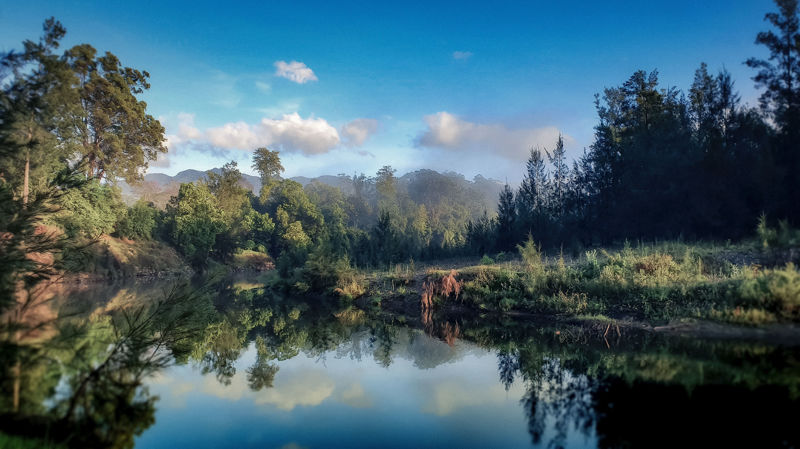 Real Estate in Bellingen