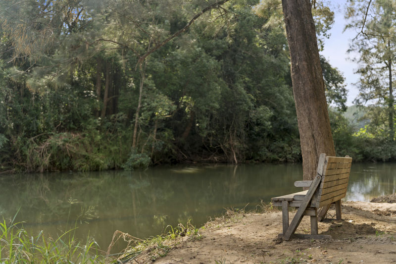 Real Estate in Bellingen