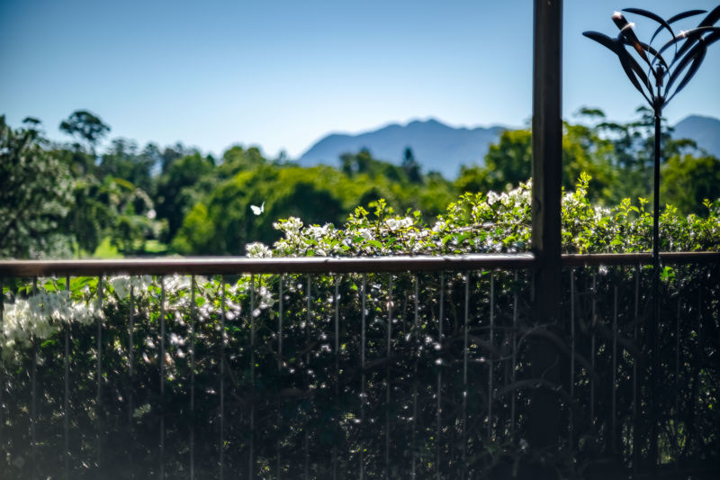 Real Estate in Bellingen