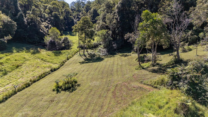 Real Estate in Bellingen