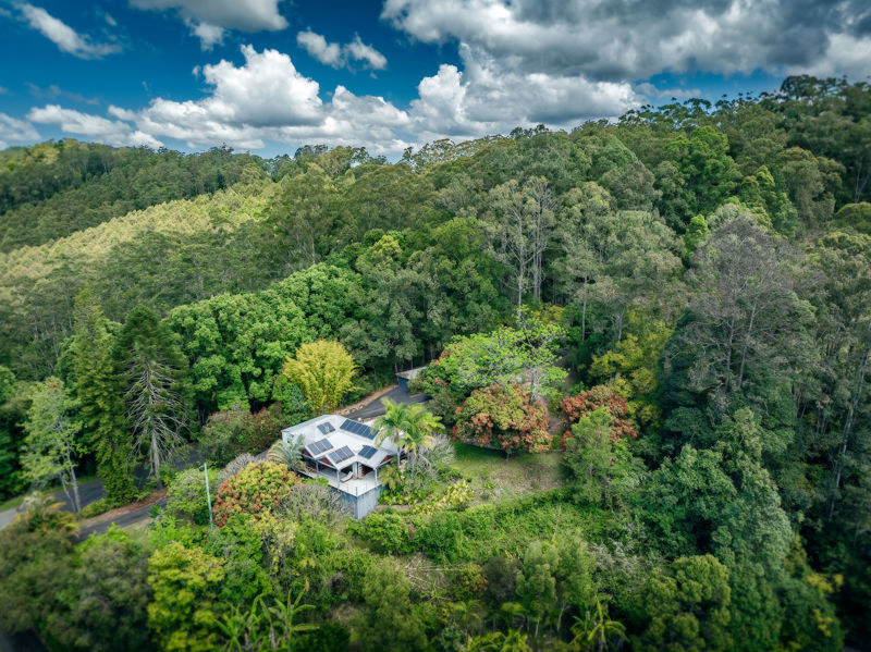 Real Estate in Bellingen