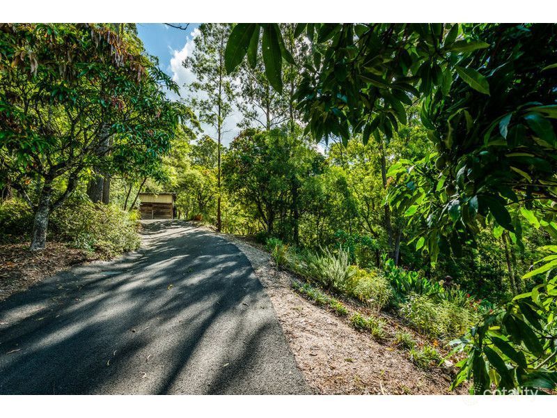 Real Estate in Bellingen